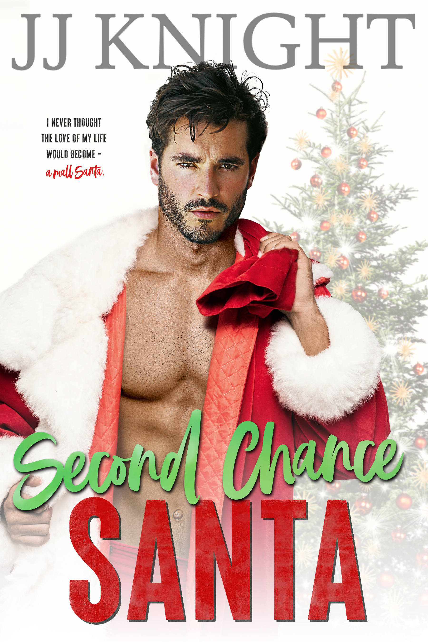 Second Chance Santa (The Pickle Family)