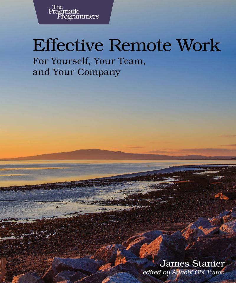 Effective Remote Work. For Yourself, Your Team, and Your Company (Paperback)