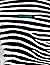 Notebook: Zebra Print Compo...