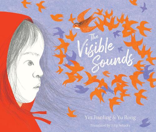 The Visible Sounds (Paperback)