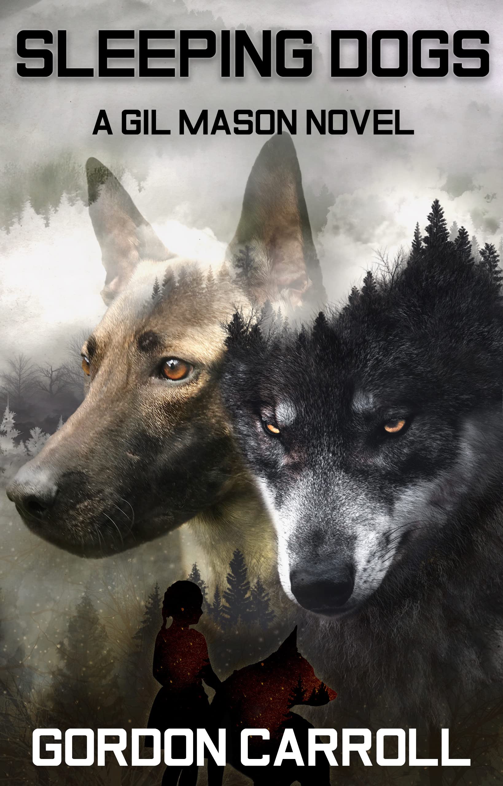 Sleeping Dogs (Gil Mason #5)