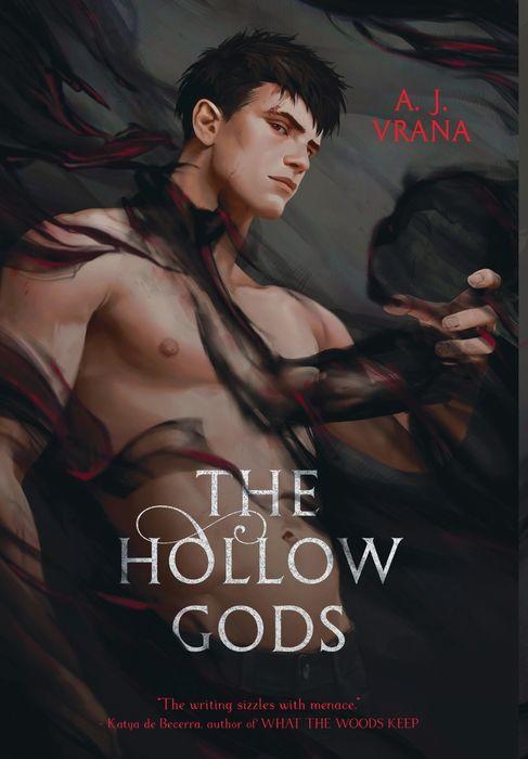 The Hollow Gods (The Chaos Cycle Duology, #1)