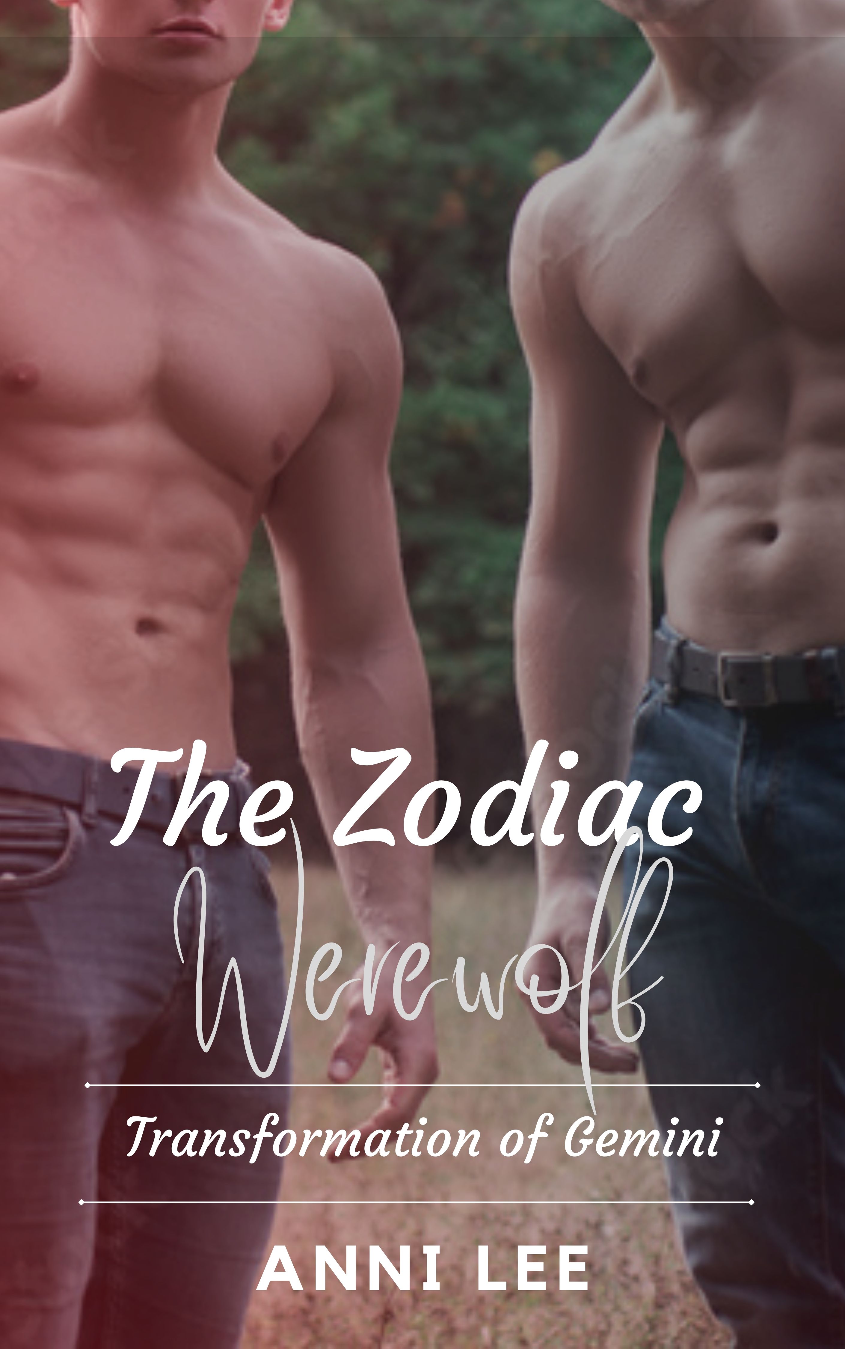 Transformation of Gemini (The Zodiac Werewolf, #6)