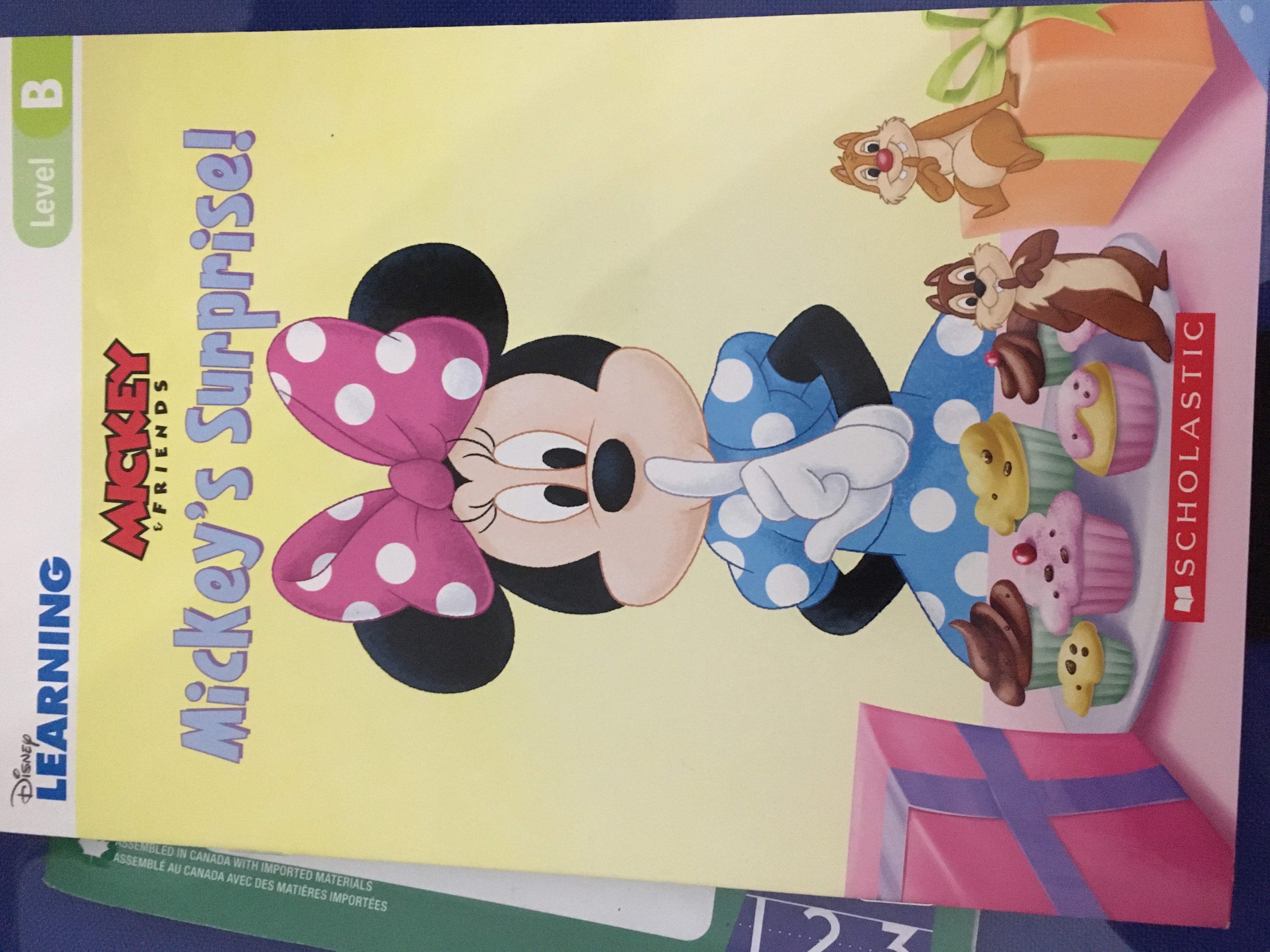 Mickey’s Surprise  (Mickey and Surprise)