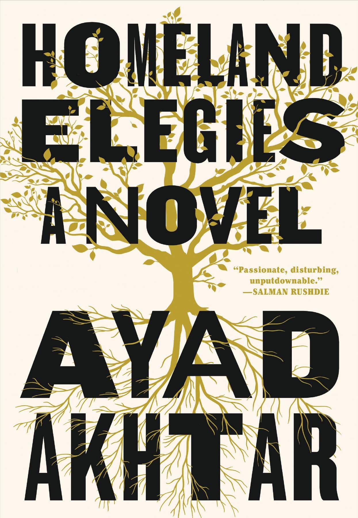 Homeland Elegies
