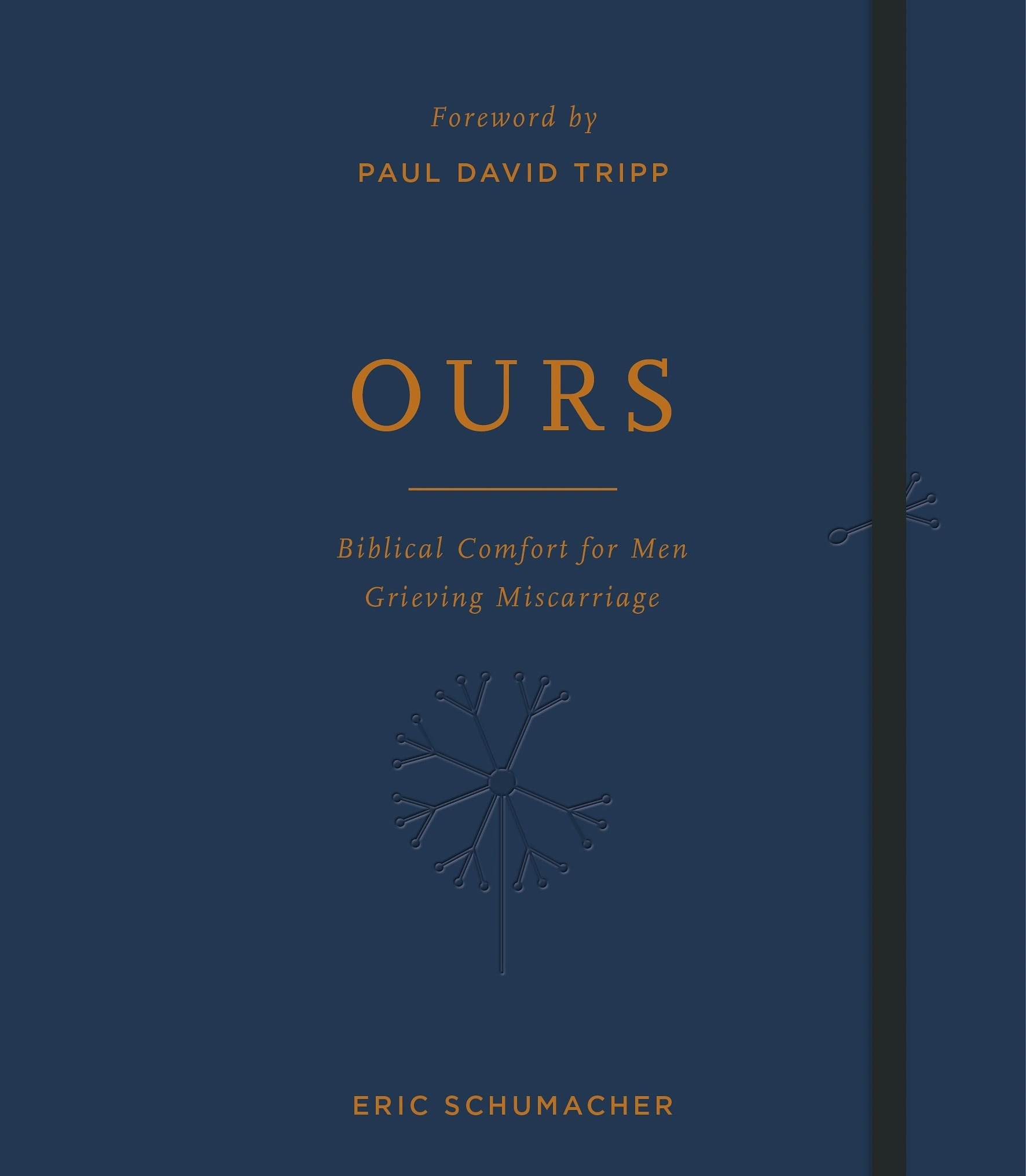 Ours: Biblical Comfort for Men Grieving Miscarriage