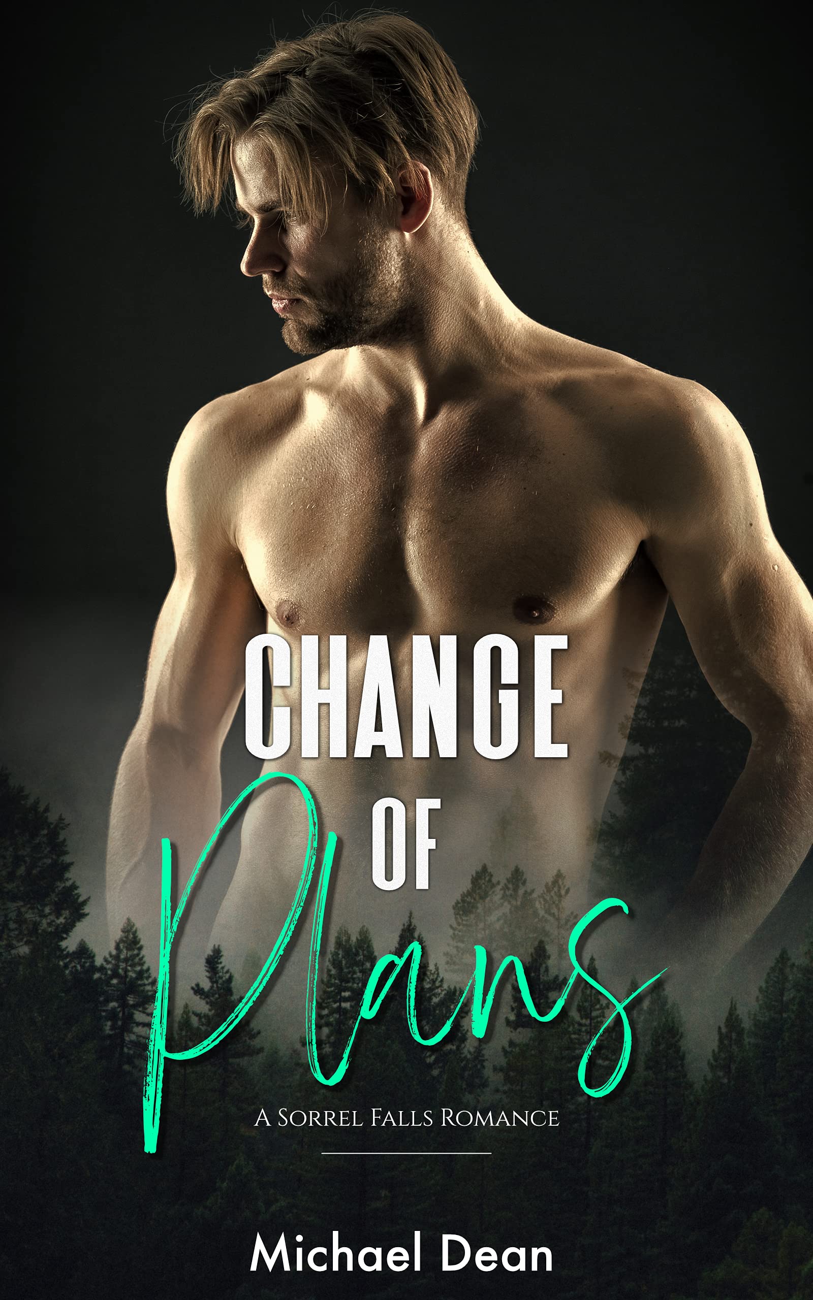 Change of Plans (Sorrel Falls #1)
