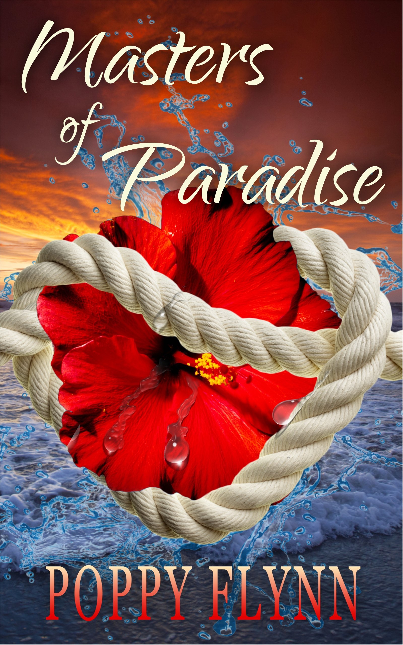 Masters of Paradise (Masters of Paradise, #1)