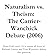 Naturalism vs. Theism: The ...