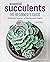 Essential Succulents: The Beginner's Guide