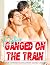 GAY GANGED ON THE TRAIN by Alan Carroll