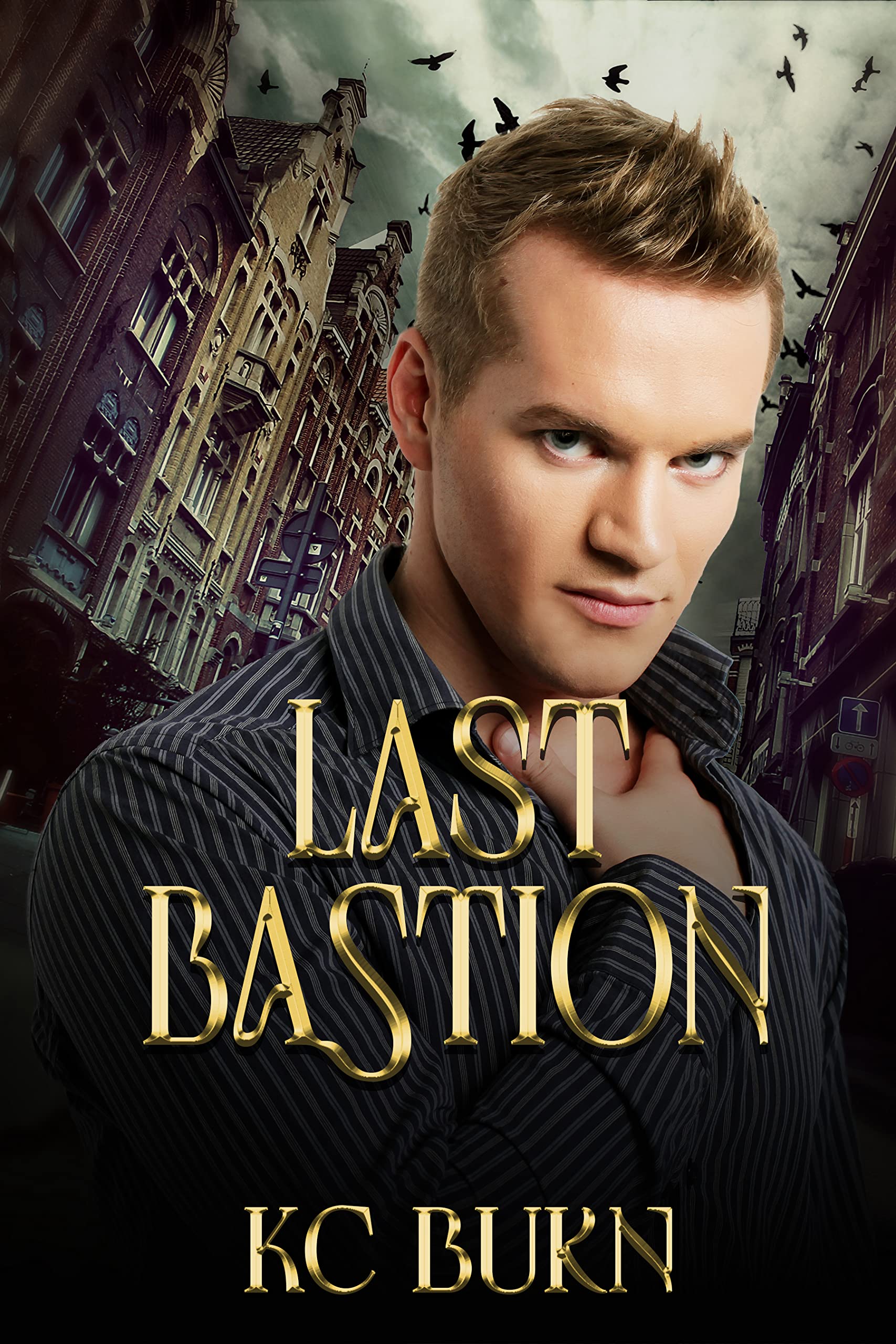 Last Bastion (Kindle Edition)