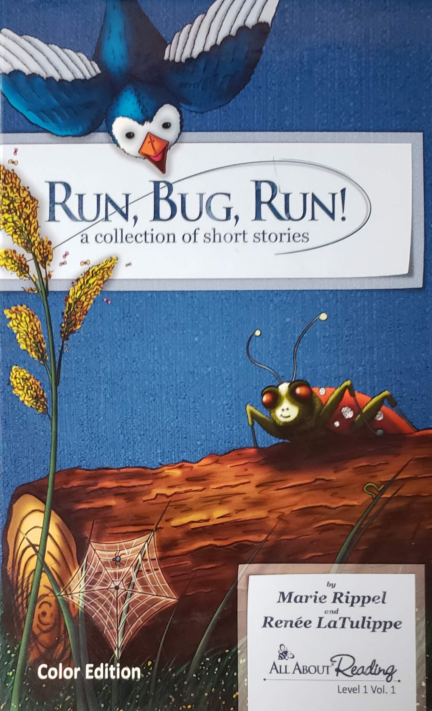 Run, Bug, Run! A Collection of short stories (Hardcover)