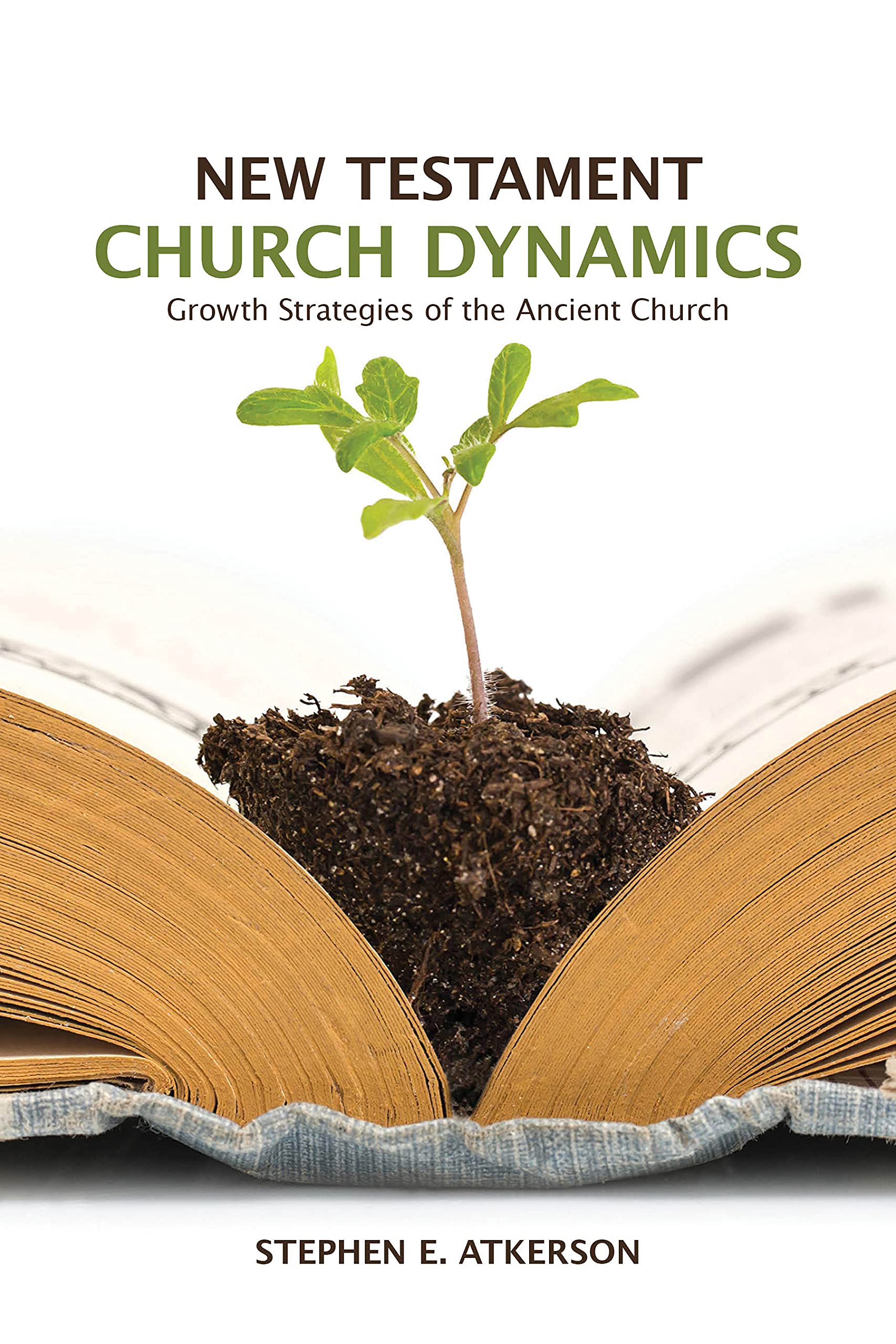 New Testament Church Dynamics: Help for Bi-Vocational, House Church, and Small-Church Pastors Drawn from Early Church Practice (Kindle Edition)