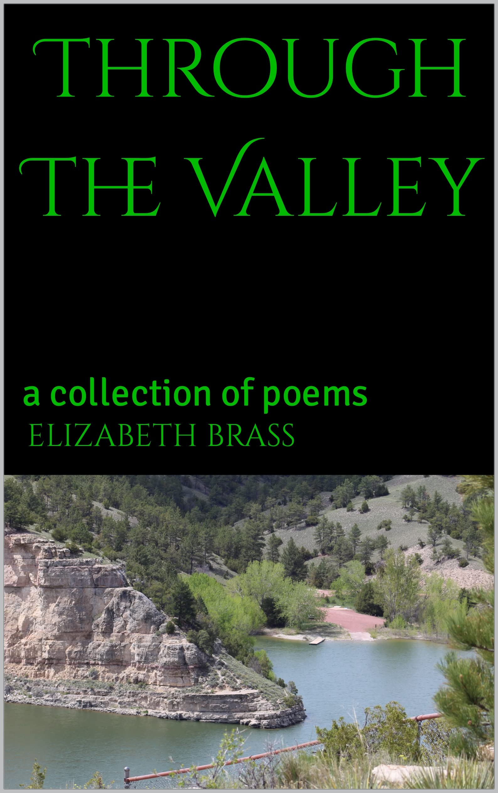 Through The Valley: a collection of poems (Kindle Edition)