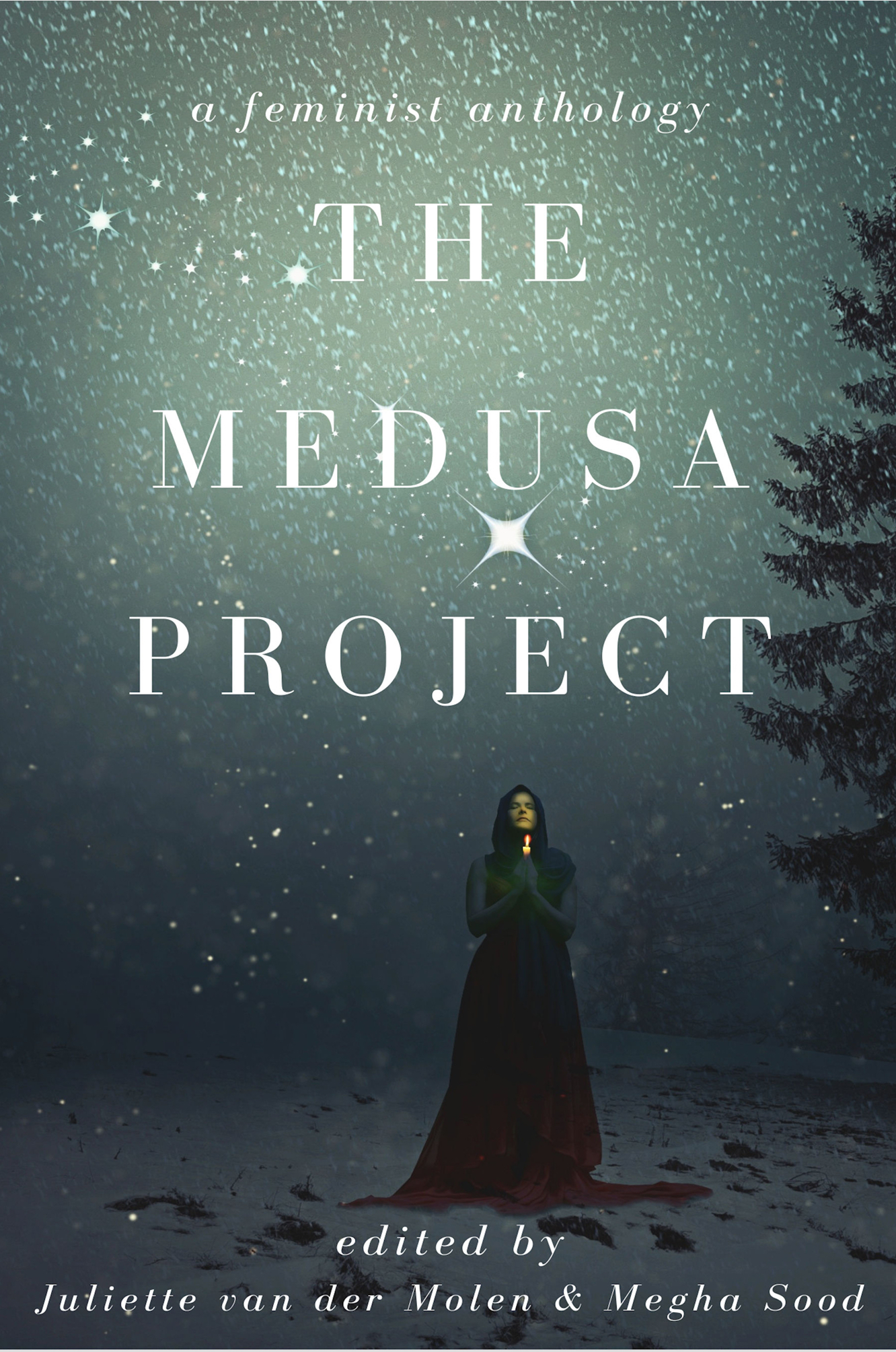 The Medusa Project: A Feminist Anthology (ebook)