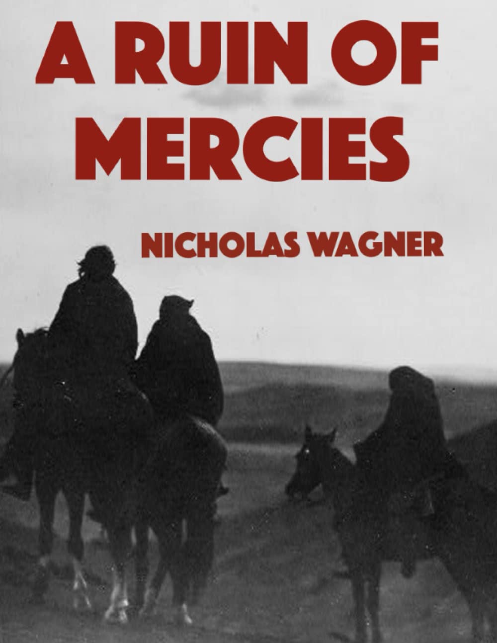 A Ruin of Mercies (Paperback)