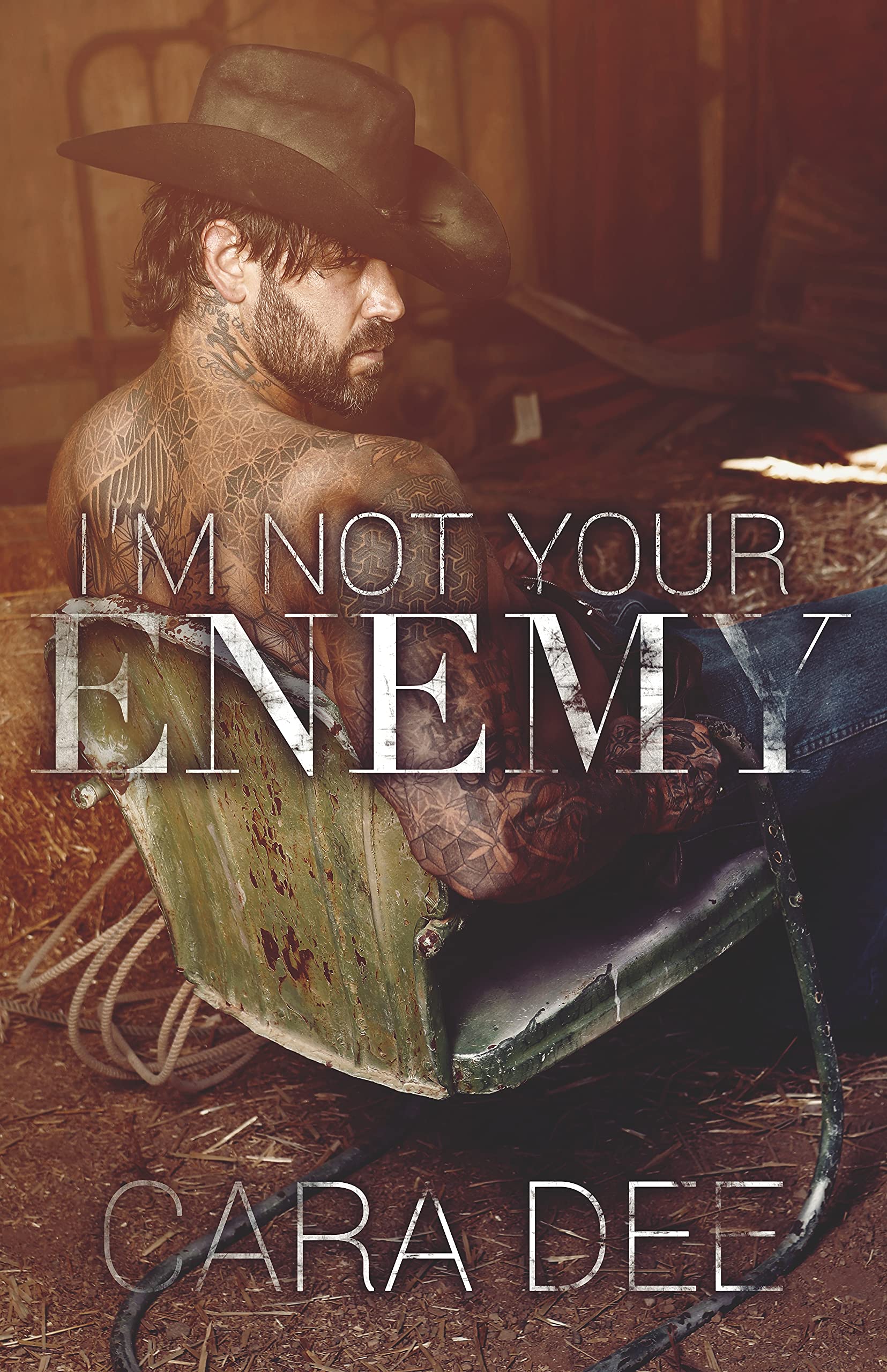 I'm Not Your Enemy (Enemies, #2)