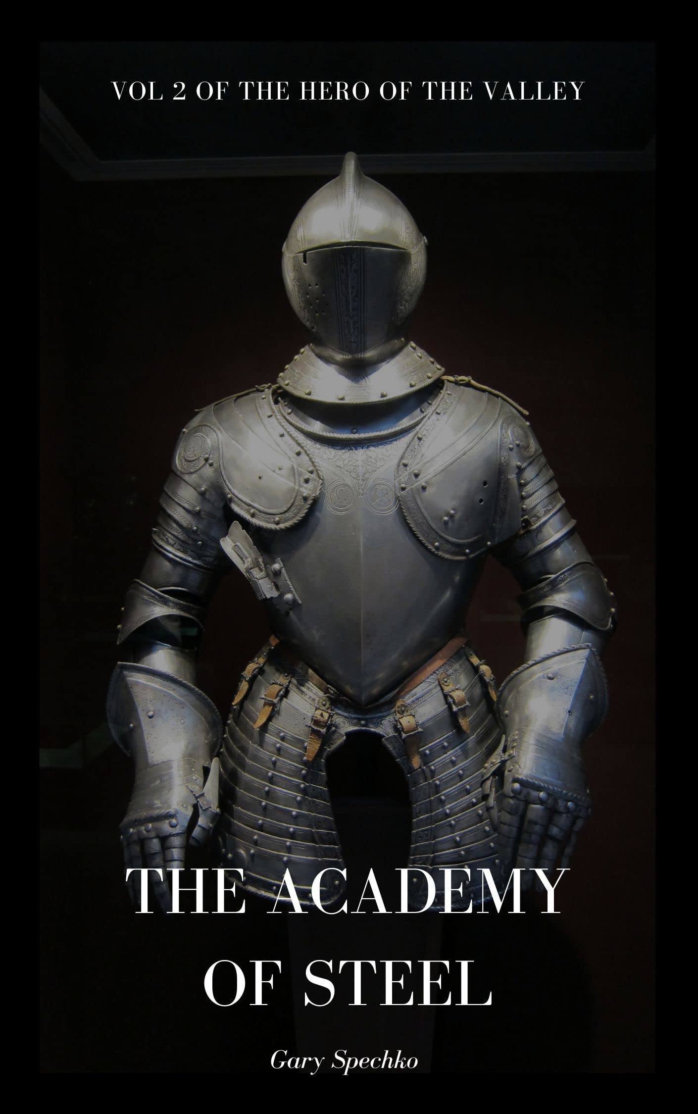 The Academy of Steel (The Hero of the Valley #2)