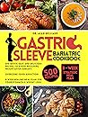 Gastric Sleeve Ba...