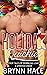 Holiday Quickies by Brynn Hale