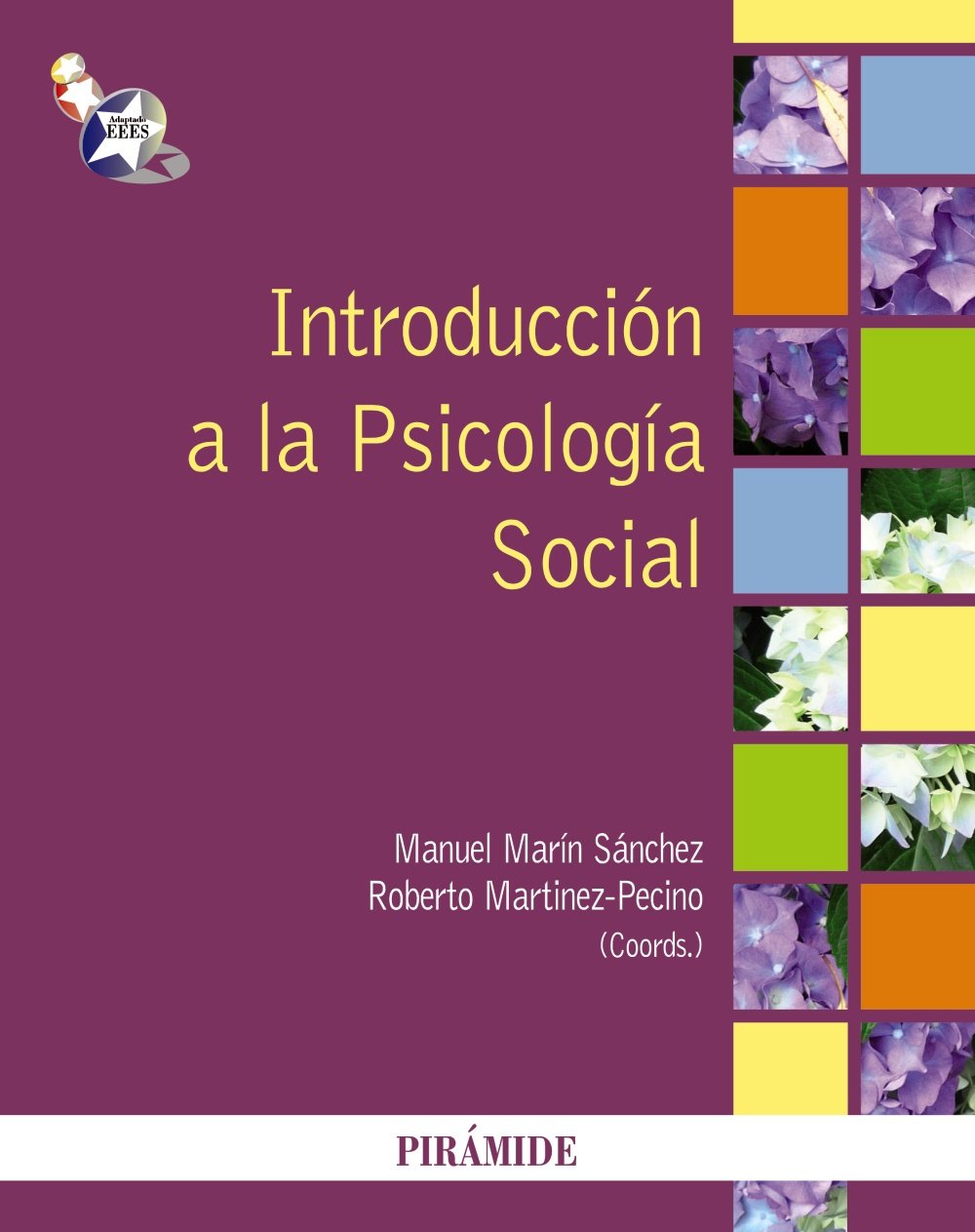 Introducción a la Psicología Social (Spanish Edition)