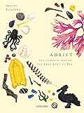 Adrift: The Curious Tale of the Lego Lost at Sea