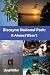 Biscayne National Park by Lloyd Miller