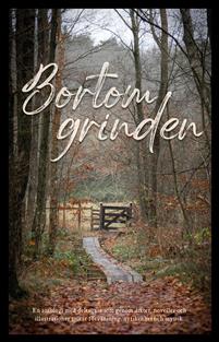 Bortom grinden