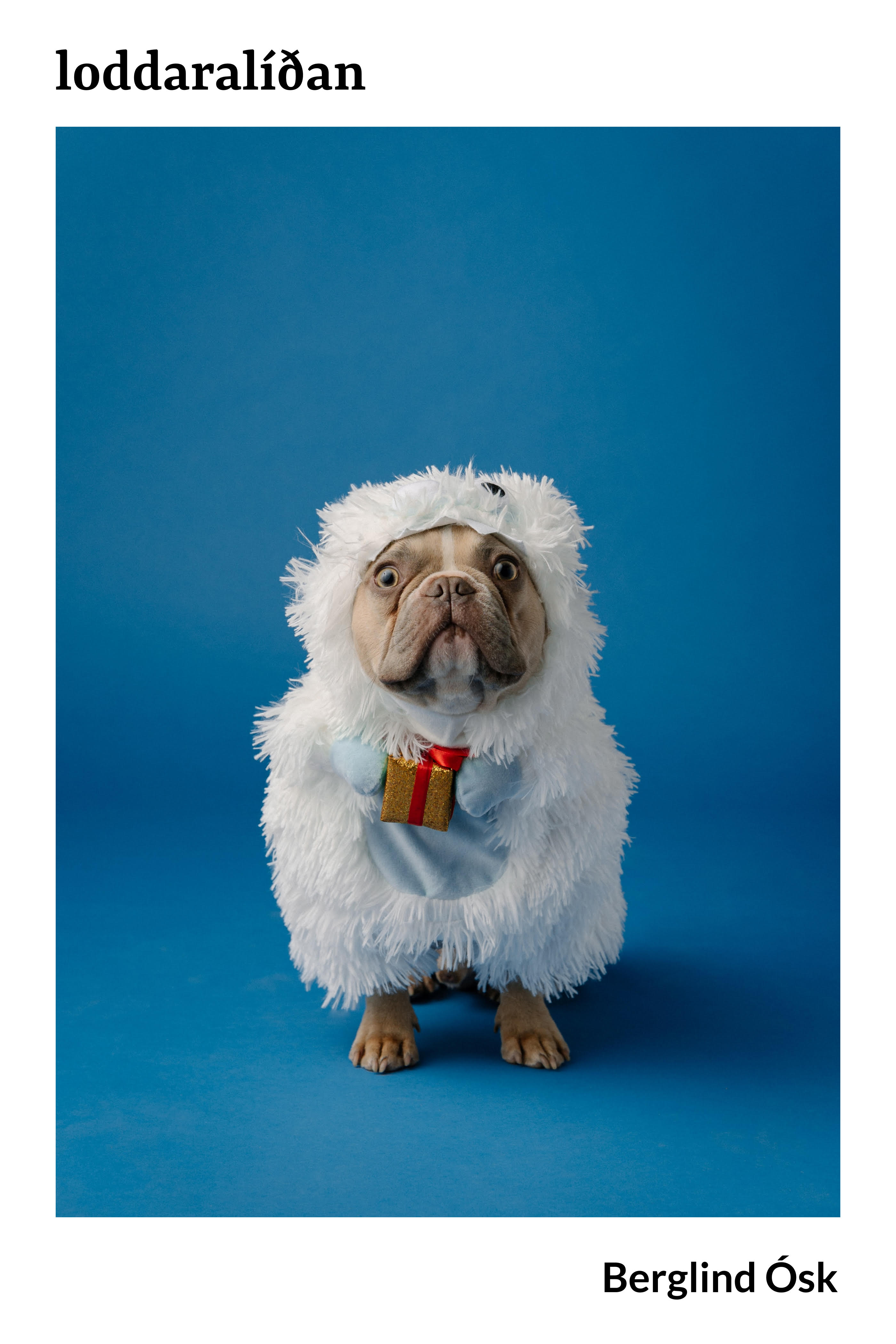 Loddaralíðan (Paperback)