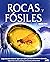 Rocas y fosiles / Rocks and...