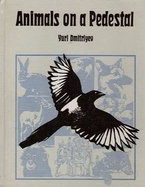 Animals on a Pedestal- Man Honours his Friends and Helpers
