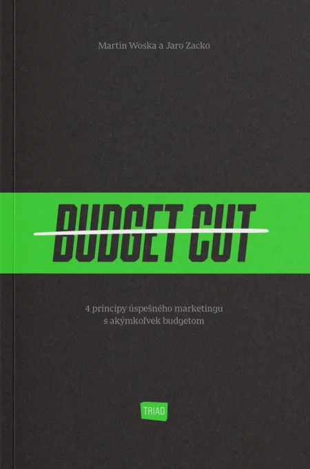 BUDGET CUT (Paperback)