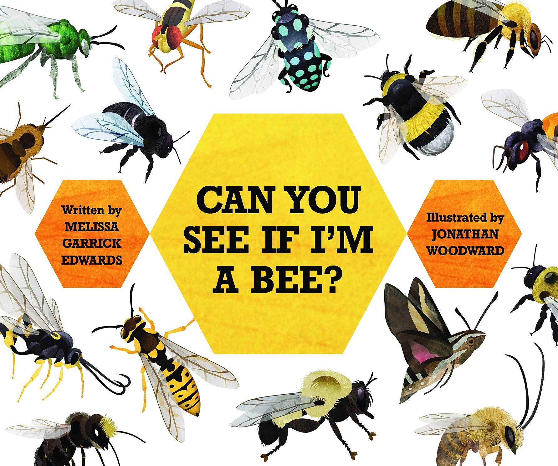 Can You See If I'm a Bee? (Kindle Edition)