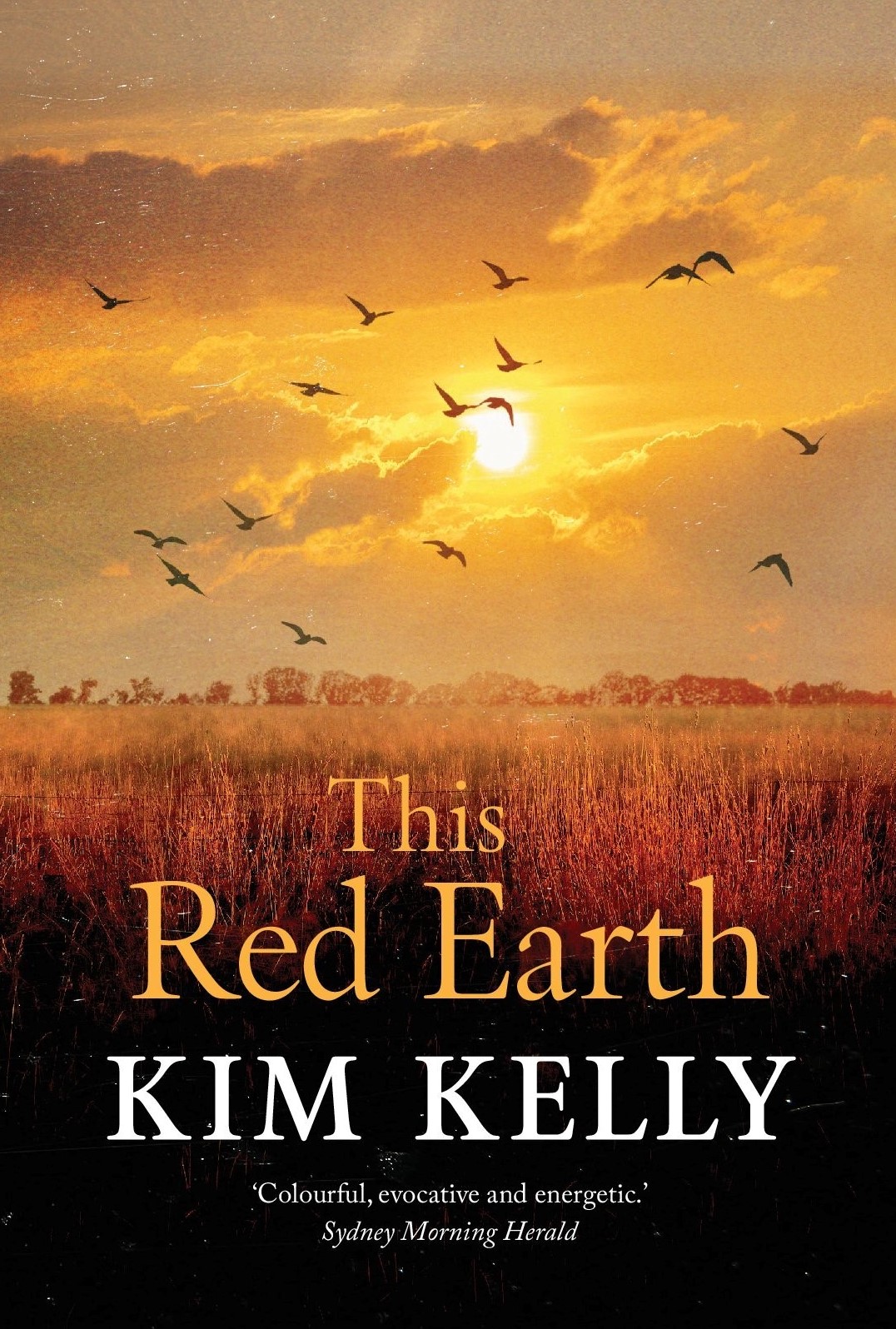 This Red Earth (Paperback)