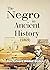 The Negro in Ancient Histor...