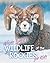 Wildlife of the Rockies for...
