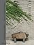 The Noguchi Museum - A Port...