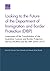Looking to the Future of the Department of Immigration and Bo... by Daniel M. Gerstein