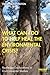 What Can I Do to Help Heal the Environmental Crisis? by Haydn Washington