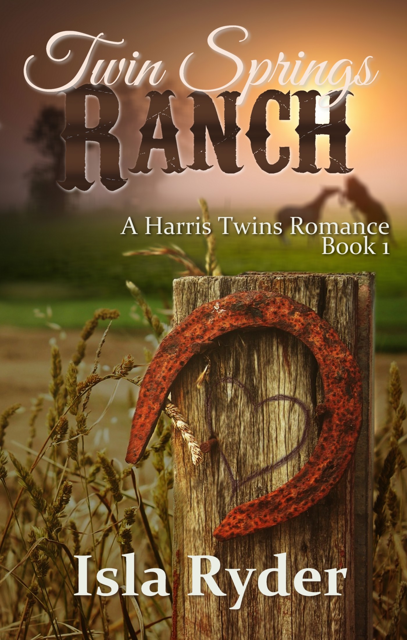 Twin Springs Ranch (Harris Twins #1)