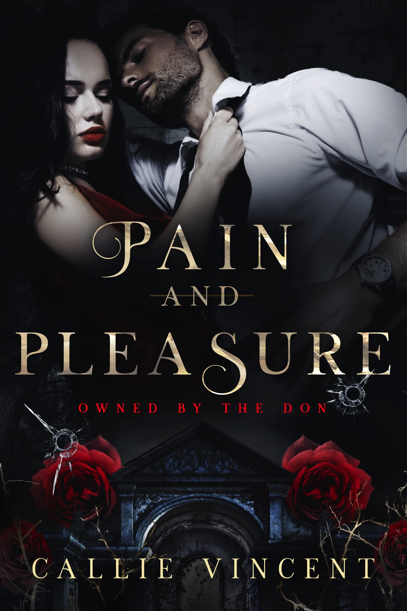 Portada de Pain and Pleasure, de Callie Vincent