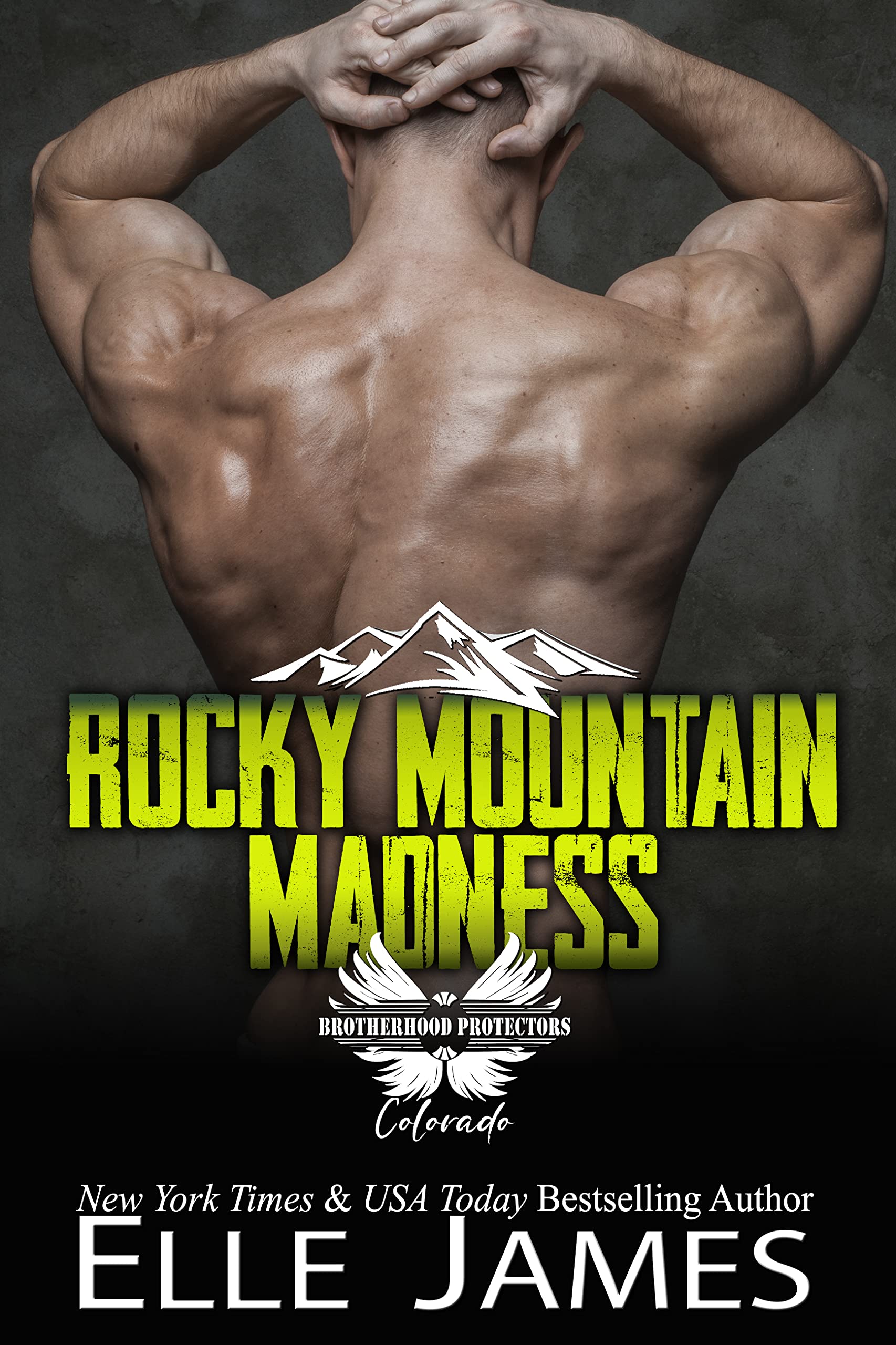 Rocky Mountain Madness (Brotherhood Protectors: Colorado #6)