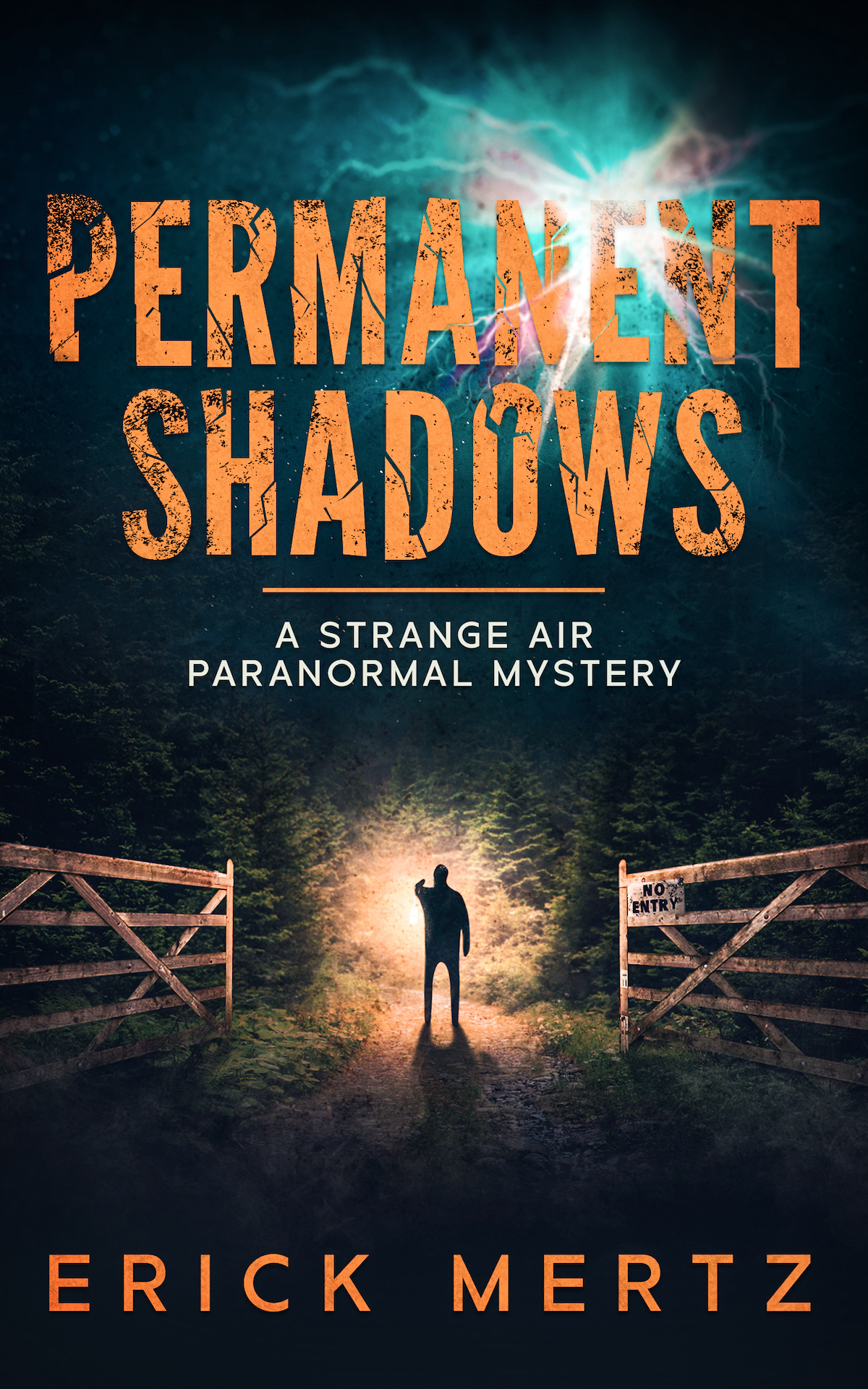 Permanent Shadows (The Strange Air #2)