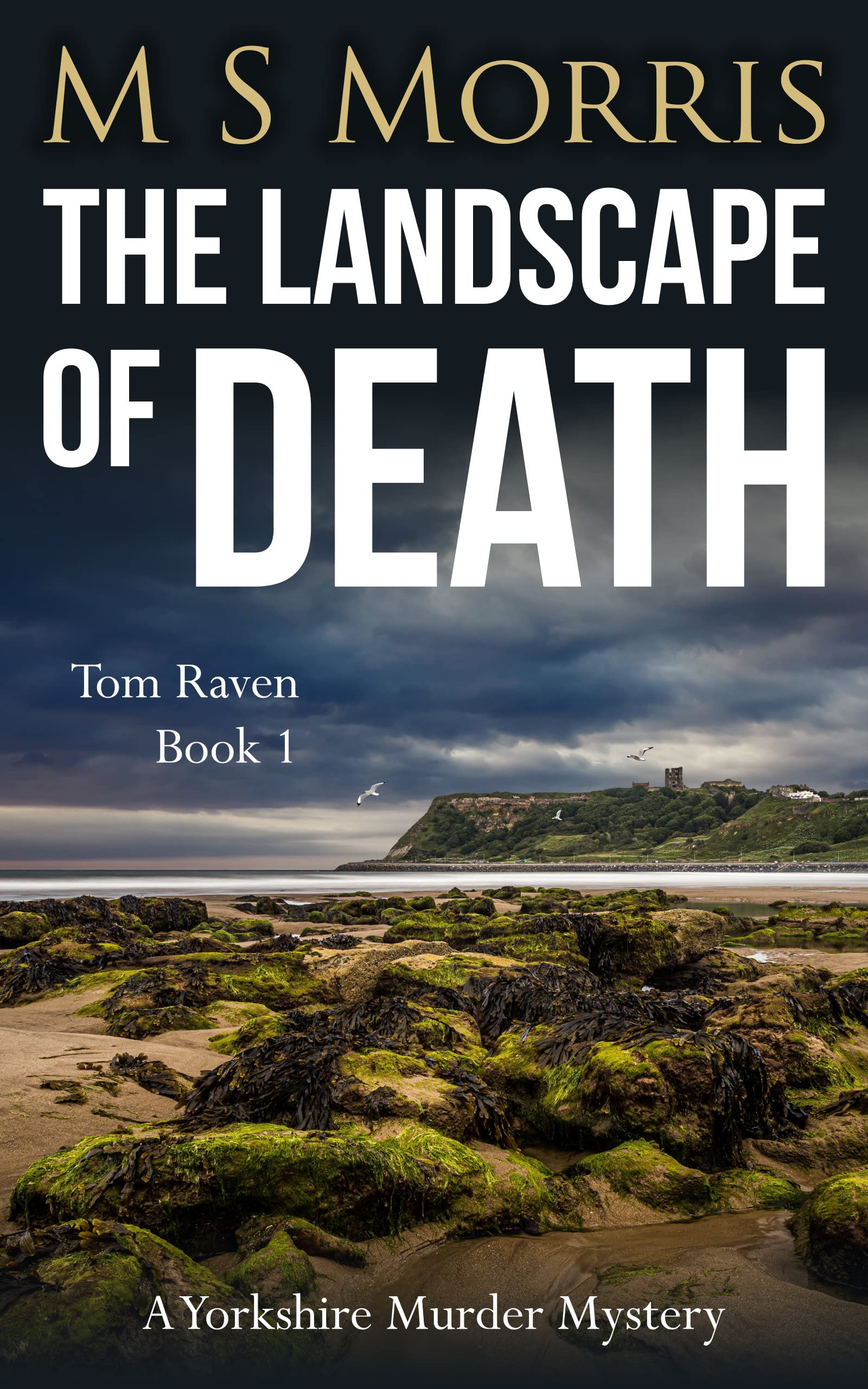 The Landscape of Death (DCI Tom Raven #1)