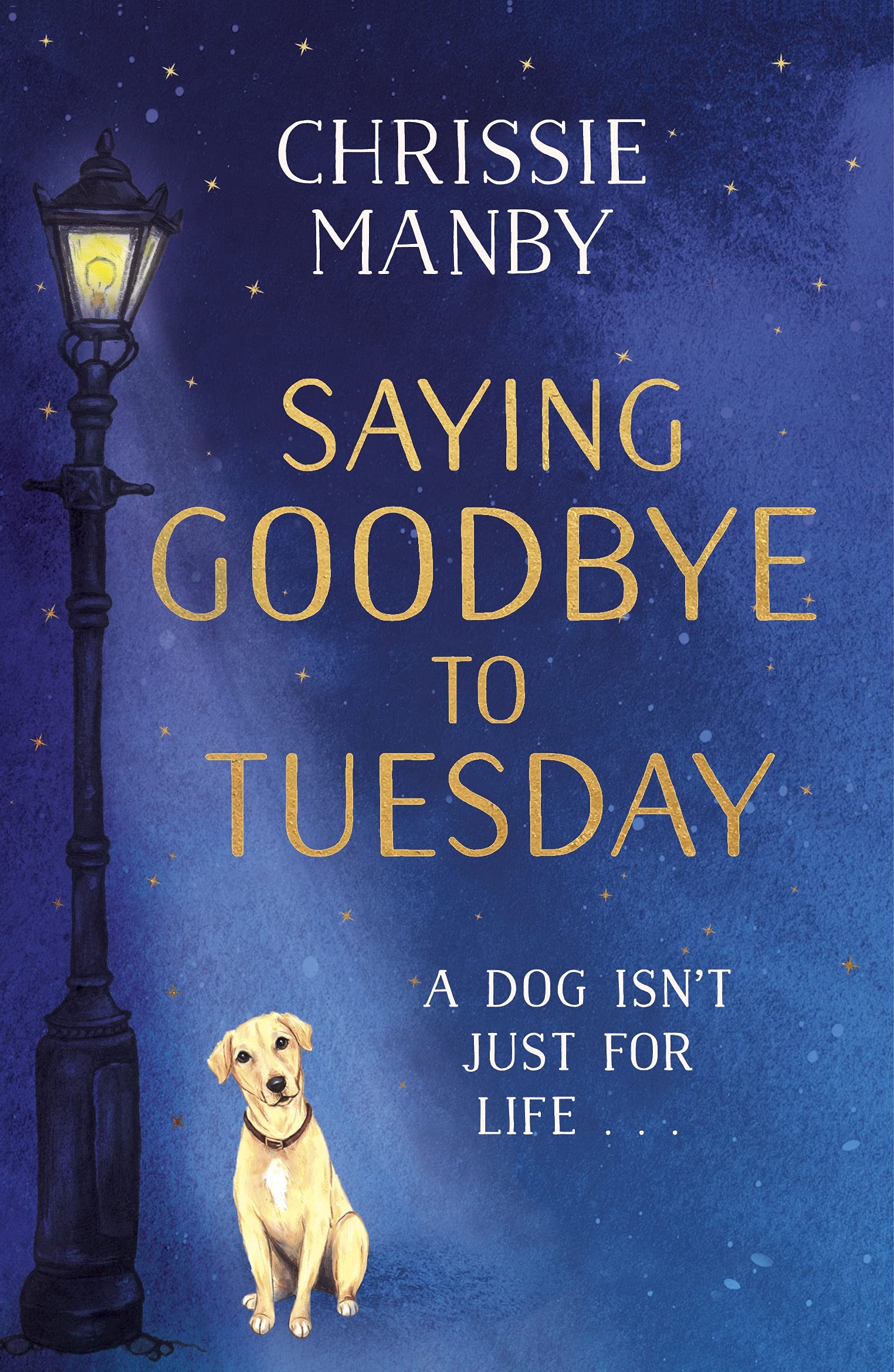 Saying Goodbye to Tuesday (Kindle Edition)