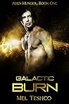 Galactic Burn (Alien Hunger, #1)