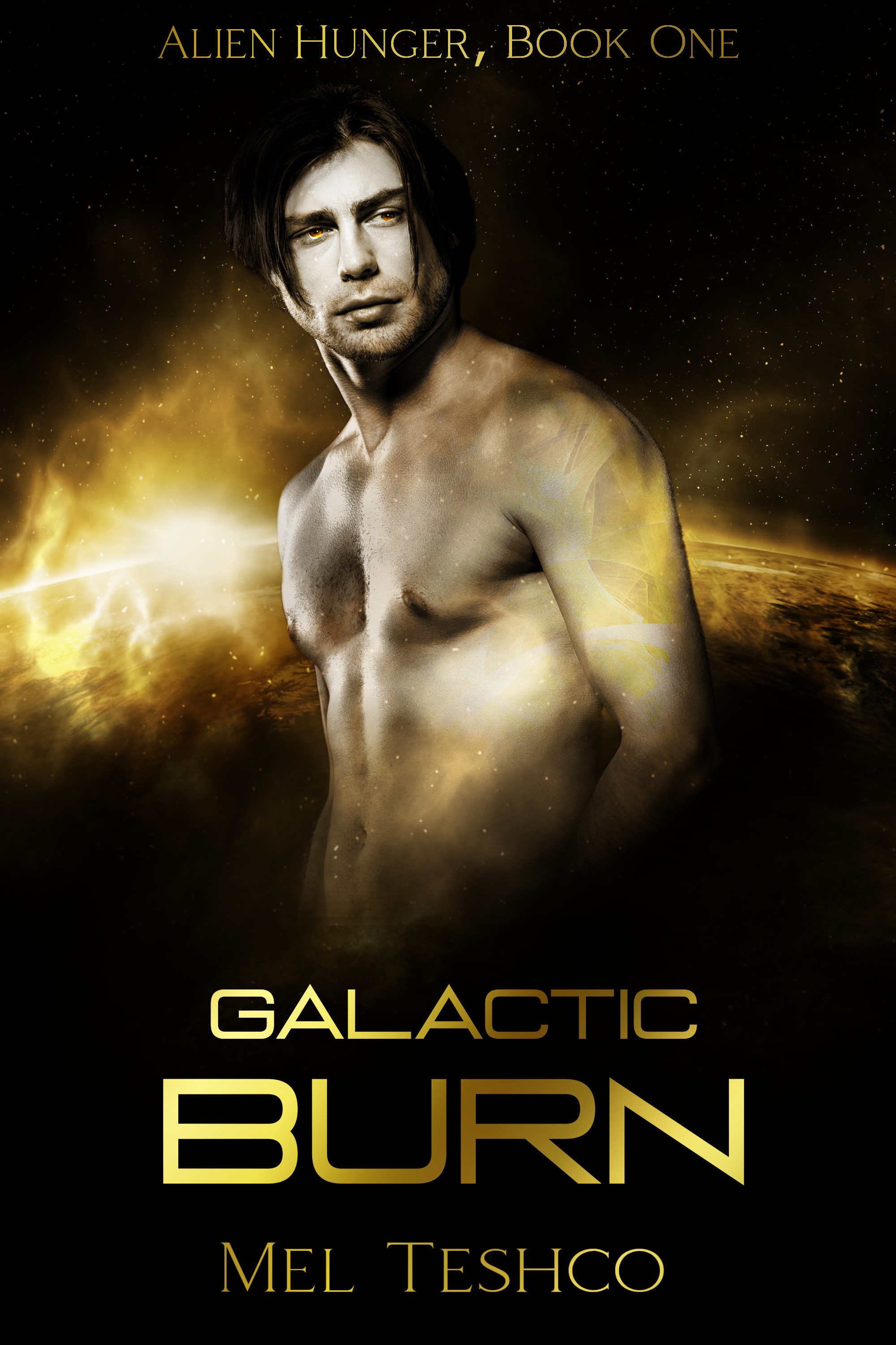 Galactic Burn (Alien Hunger, #1)