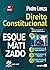 Direito Constitucional Esquematizado