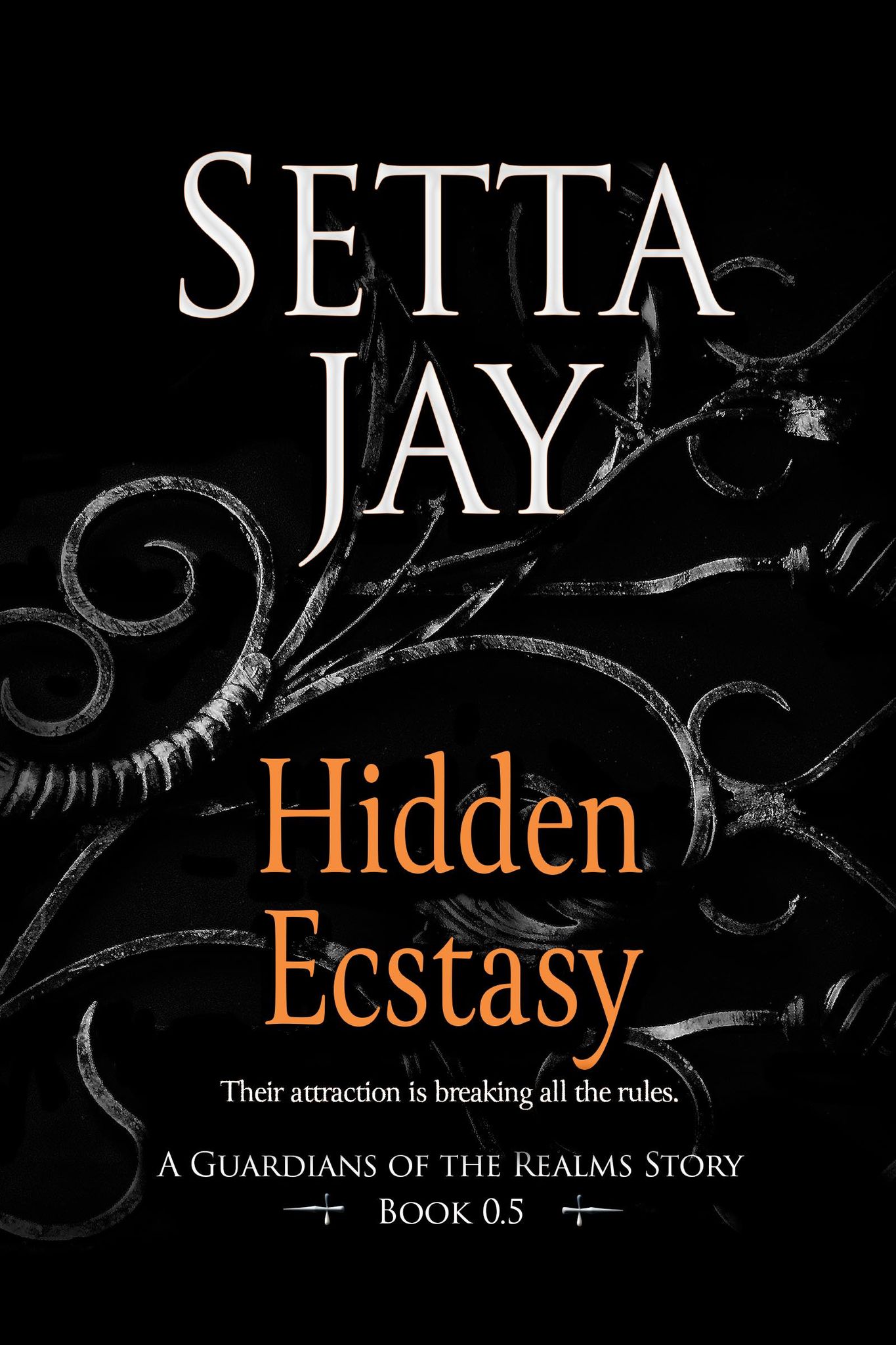 Hidden Ecstasy (Guardians Of The Realms, #0.5)